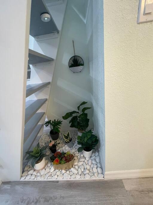 The Tiny Cottage In The Springs/ Central Fl Altamonte Springs Extérieur photo